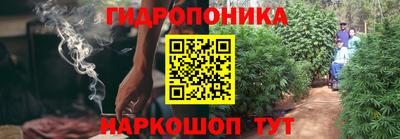 гашик Бузулук